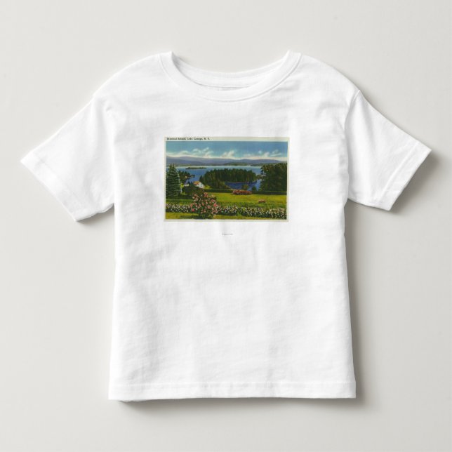 Hillside View of Diamond Island and Lake Toddler T-shirt (Front)