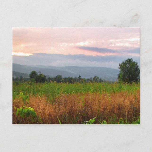 Hilltop at Sunset Postcard (Front)