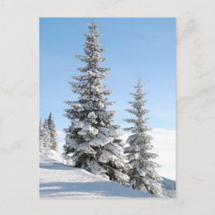 Hilltop trees postcard