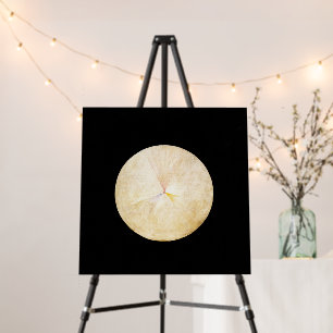 Hilma Af Klint, The Swan No.14, Abstract Art Foam Board