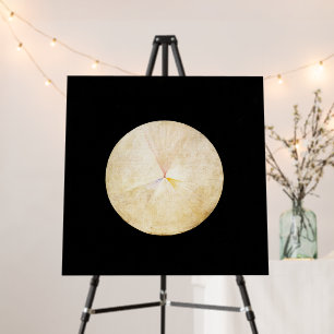 Hilma Af Klint, The Swan No.14, Abstract Art Foam Board