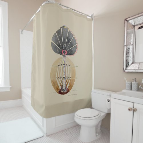 Hilma af Klint _ Tree of Knowledge No 3 Shower Curtain