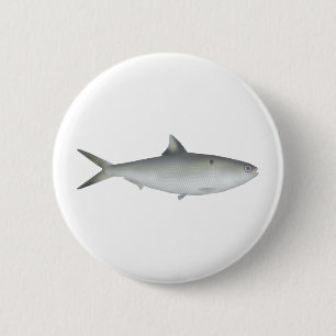 Hilsa Shad Button