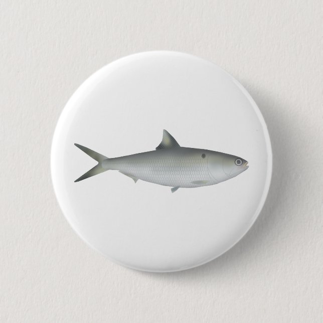 Hilsa Shad Button (Front)