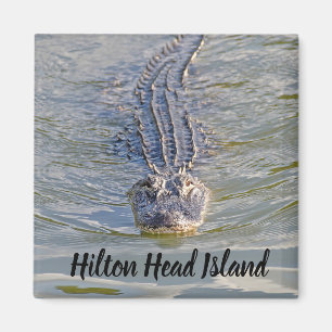 Hilton Head Alligator Magnet