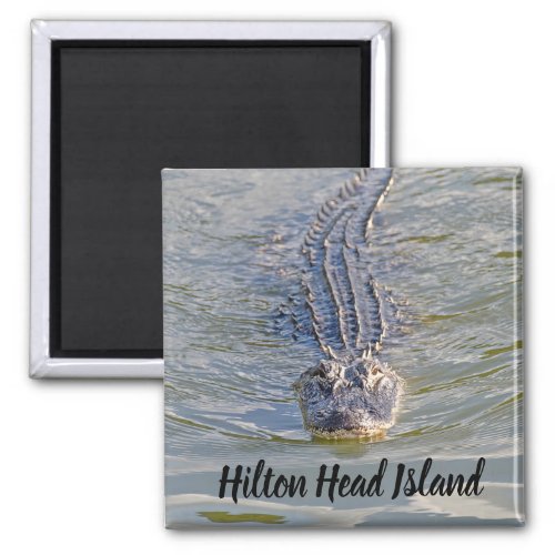 Hilton Head Alligator Magnet