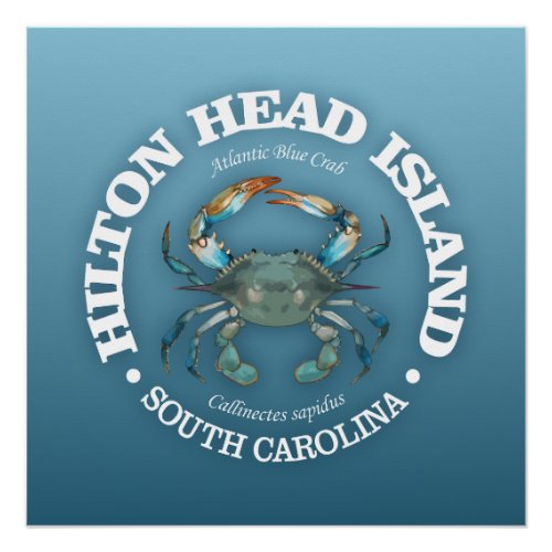 Hilton Head blue crab Poster