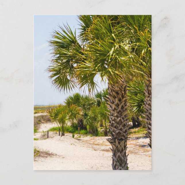 hilton head georgia beach and ocean "south beach" postcard (Front)