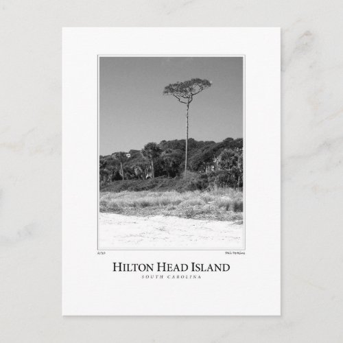 Hilton Head Island Postcard