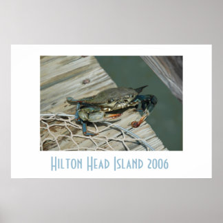 Hilton Head Island Poster