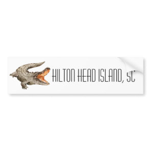 Hilton Head Island South Carolina Alligator   Bumper Sticker