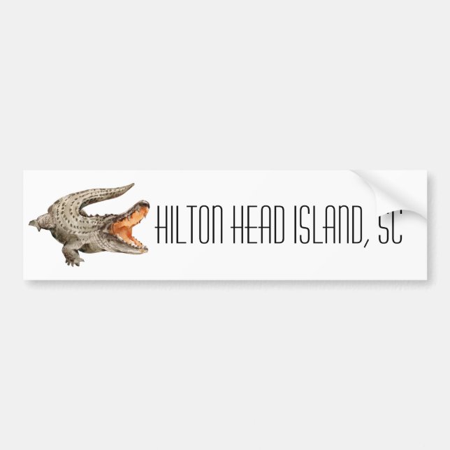 Hilton Head Island South Carolina Alligator   Bumper Sticker (Front)