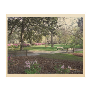 Hilton Head Island Wood Wall Art