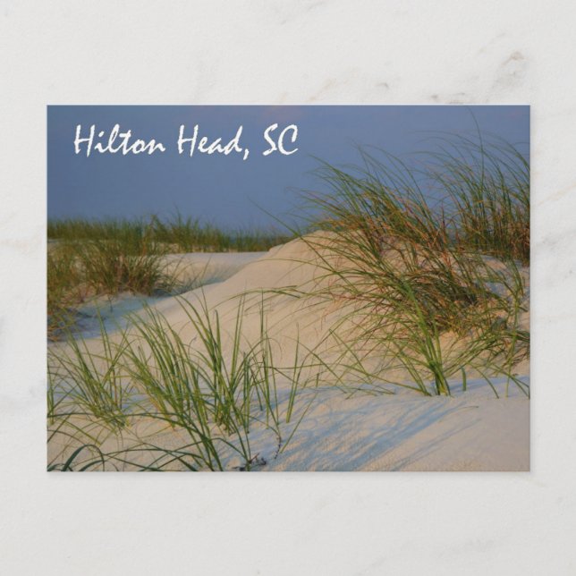 Hilton Head, SC postcard (Front)