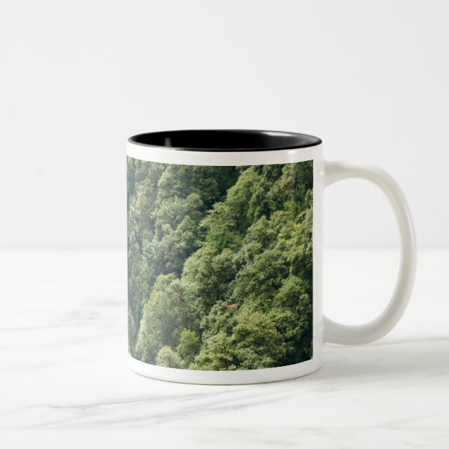 Himalaya forest in the Mangdue valley, Bhutan Two-Tone Coffee Mug (Right)