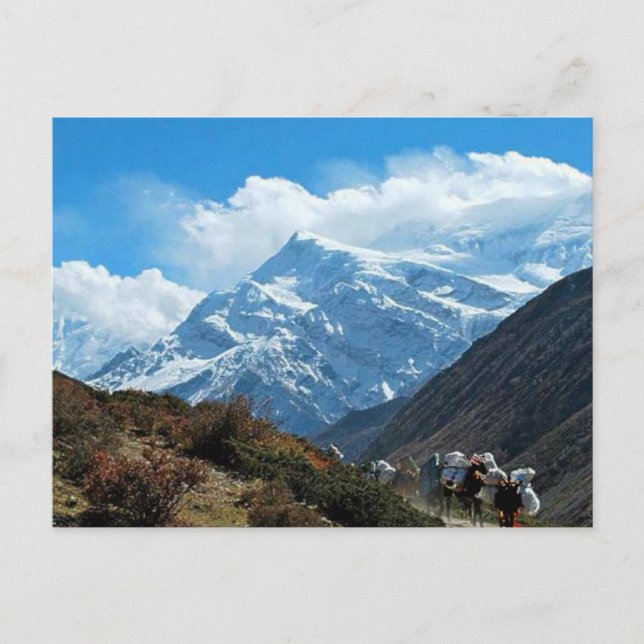 Himalaya Mount Everest India Nepal Travel Summer Postcard (Front)