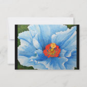 Himalayan Blue Poppy, 2015 (Front)
