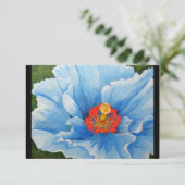 Himalayan Blue Poppy, 2015 (Standing Front)