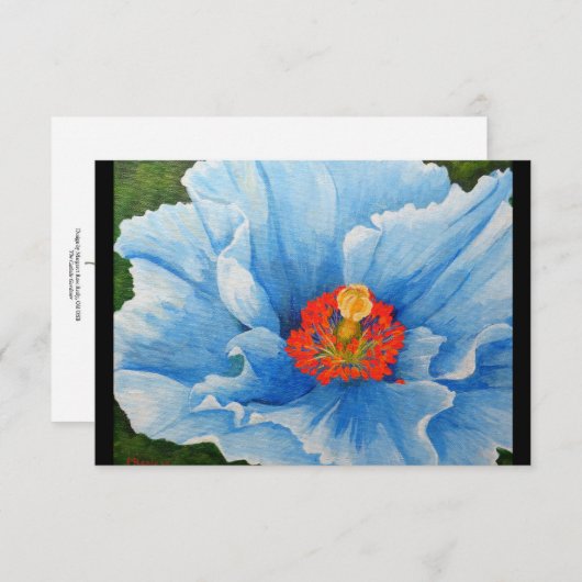 Himalayan Blue Poppy, 2015 (Front/Back)