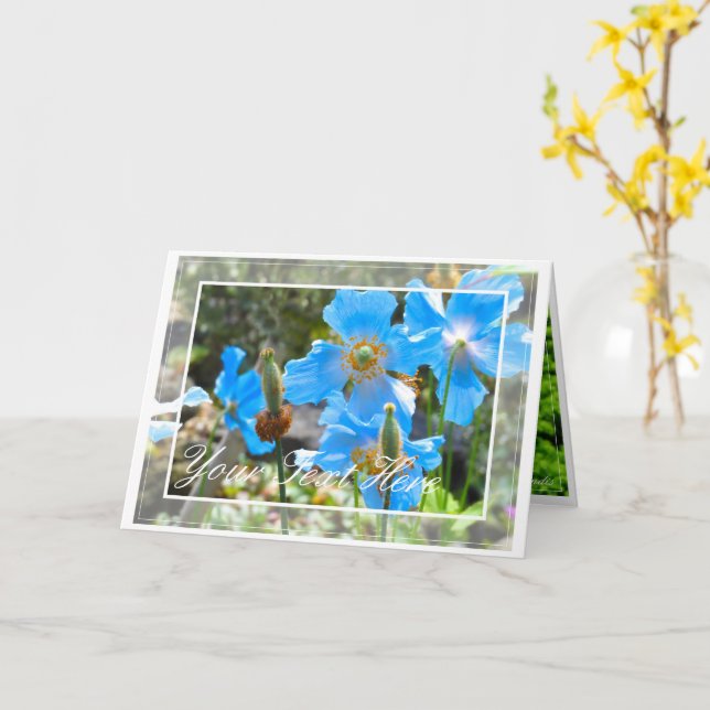 Himalayan blue poppy card (Yellow Flower)