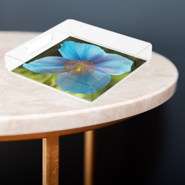 Himalayan Blue Poppy Floral Acrylic Tray (In Situ Angled)