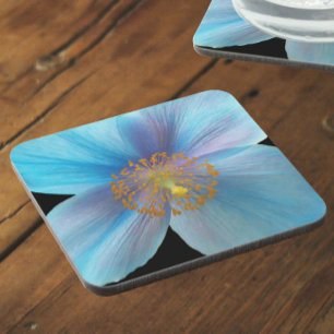 Himalayan Blue Poppy Floral Beverage Coaster