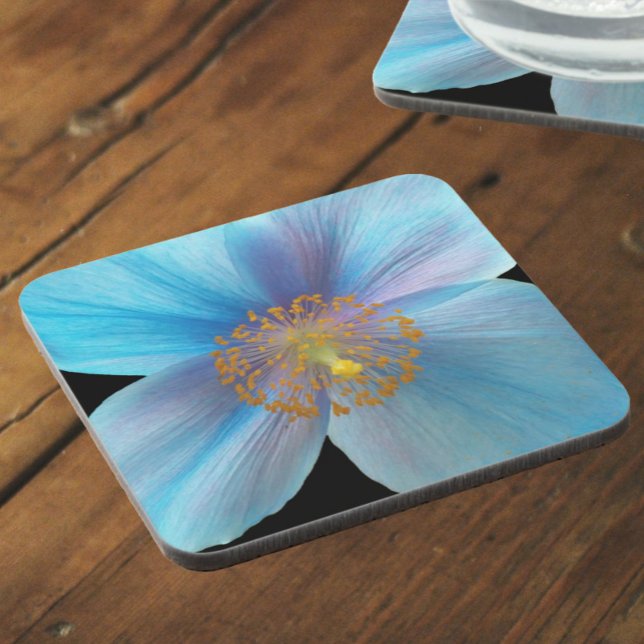 Himalayan Blue Poppy Floral Beverage Coaster (In Situ)