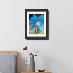 Himalayan Blue Poppy Floral Framed Art