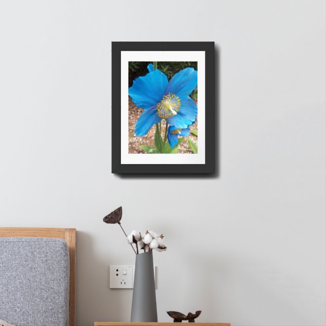 Himalayan Blue Poppy Floral Framed Art (Bedside)