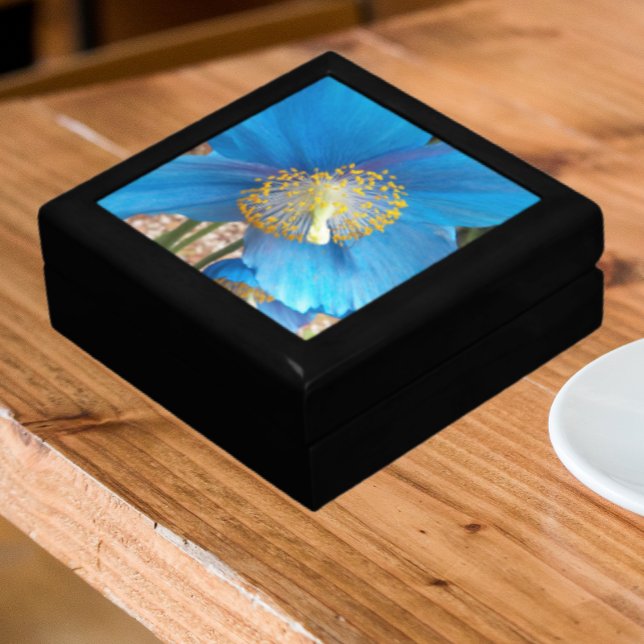 Himalayan Blue Poppy Floral Gift Box (In Situ)