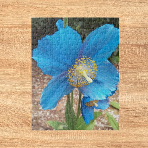 Himalayan Blue Poppy Floral Jigsaw Puzzle