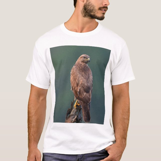 Himalayan Buzzard, dark/rufous morph, young adult T-Shirt (Front)