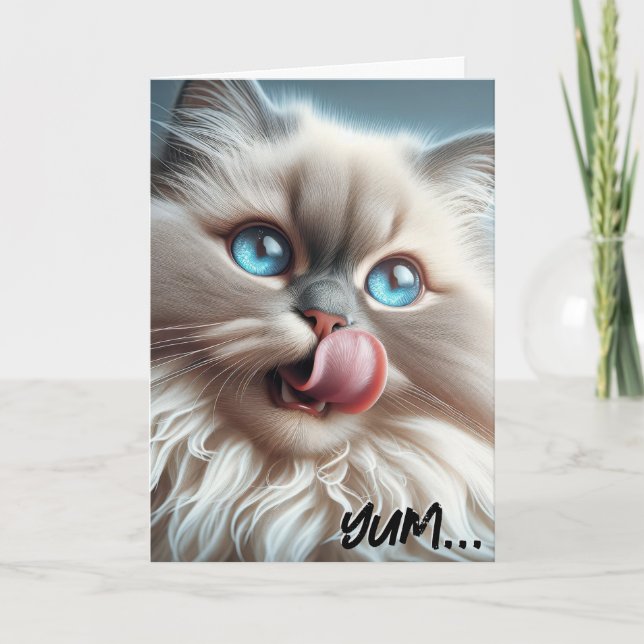 Himalayan Cat Birthday Humor Card (Front)