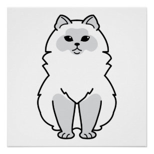 Download Himalayan Cat Art & Wall Décor | Zazzle