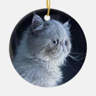 Himalayan Cat Ceramic Ornament