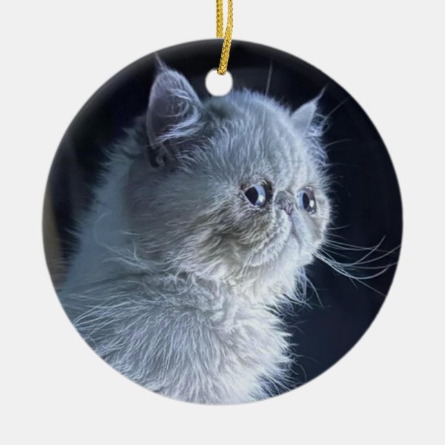 Himalayan Cat  Ceramic Ornament (Front)