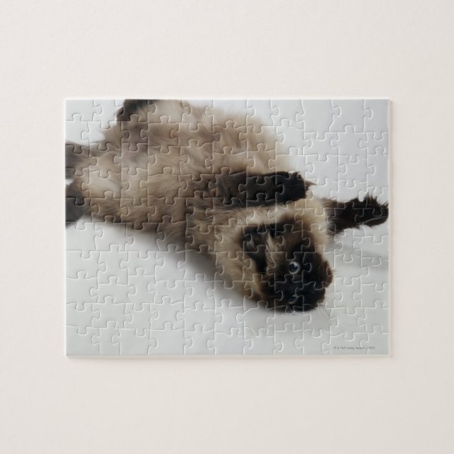 Himalayan Cat Lying on his Back Jigsaw Puzzle (Horizontal)