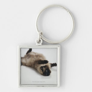 Himalayan Cat Lying on his Back Keychain