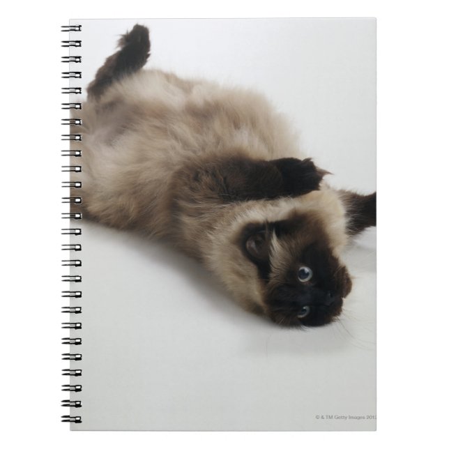 Himalayan Cat Lying on his Back Notebook (Front)