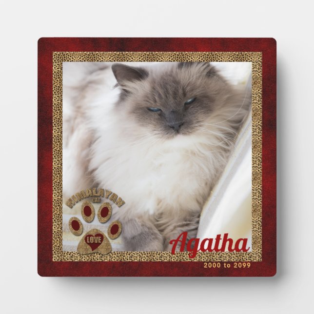 Himalayan Cat Memorial Photo Plaque (Front)