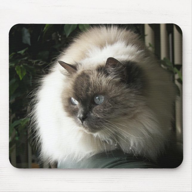 Himalayan Cat Mouse Pad (Front)