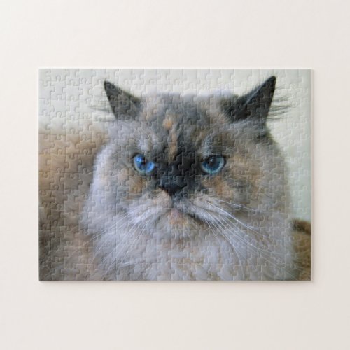 Himalayan Cat with Blue Eyes Jigsaw Puzzle