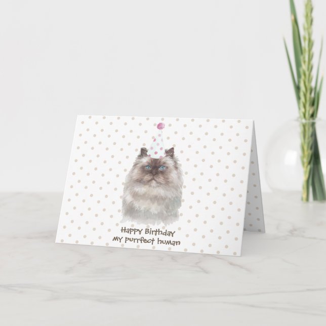 Himalayan Cat with Party Hat Card (Front)