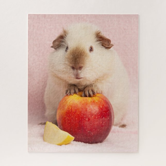 Himalayan Guinea Pig Pet Jigsaw Puzzle (Vertical)