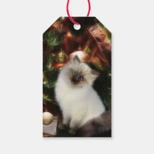 Himalayan kitten Christmas Gift Tags