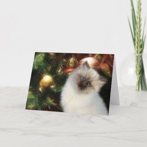 Himalayan kitty Christmas Holiday Card