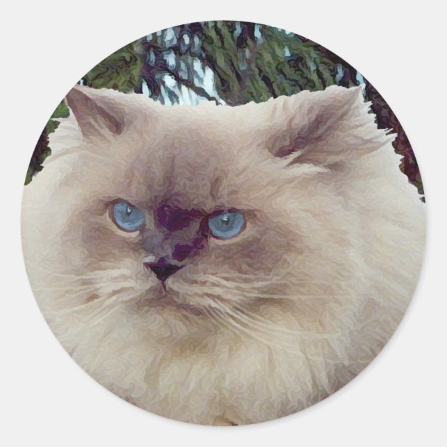 Himalayan Persian Cat Classic Round Sticker (Front)