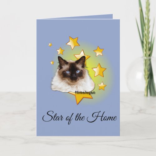 Himalayan Seal Point Cat is a Star Card