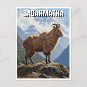 Himalayan tahr at Sagarmatha National Park Nepal Postcard