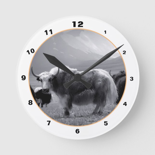 Himalayan Yaks & Mountains in Ladakh / Tibet Yak Round Clock (Front)